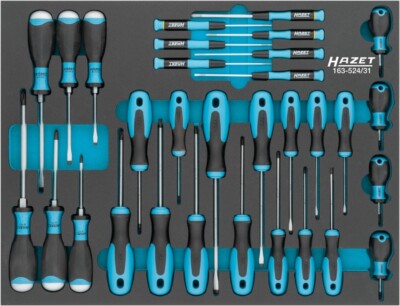 Hazet Cross Cut Ph Inside Torx Screwdriver Set 31-Piece 163-524