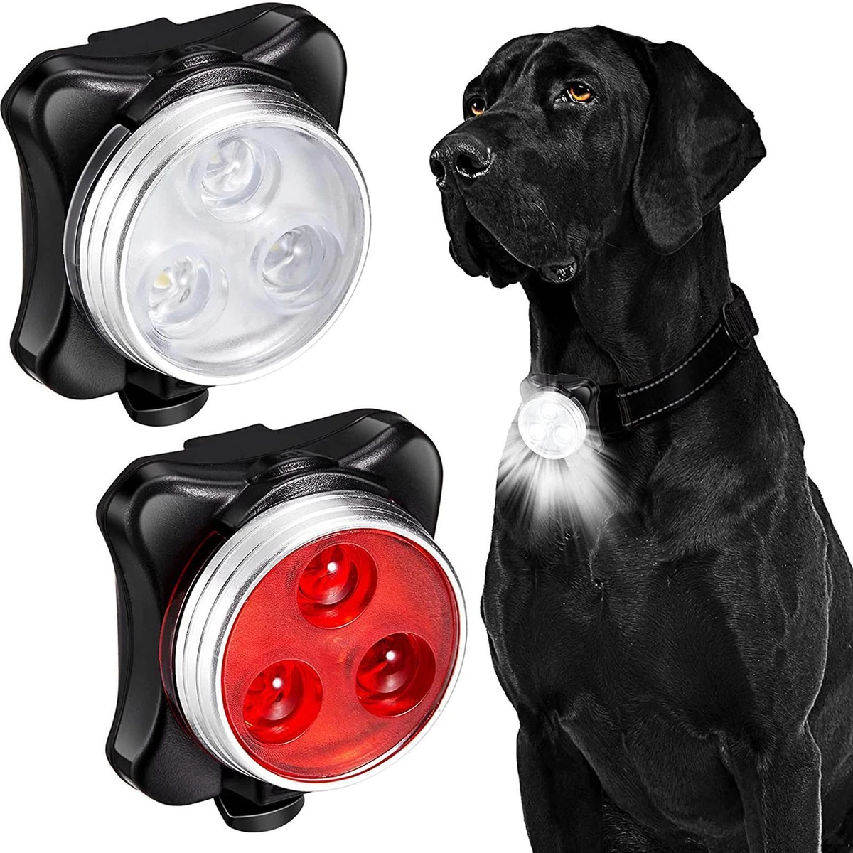 Lights top and leashes