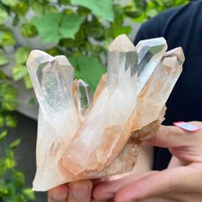 665g Natural White Clear Quartz Crystal Cluster Raw Healing Specimen