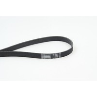 Continental Ctam 7PK2061 Keilrippenriemen