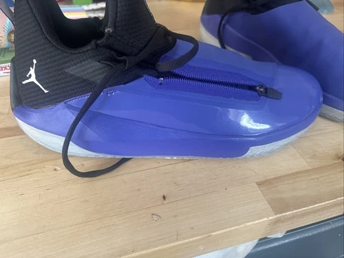 Size 11 - Jordan Jumpman Hustle Dark Concord