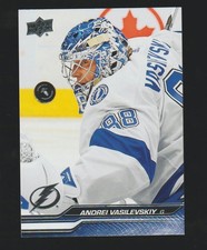 Click to enlarge Andrei Vasilevskiy