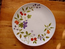 Discontinued Noritake Berries 'n Such Dinnerware
