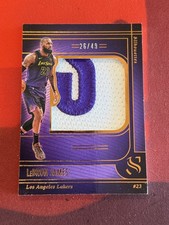 2024 Panini Silhouette Basketball LeBron James Silhouettes Patch Game Worn /49