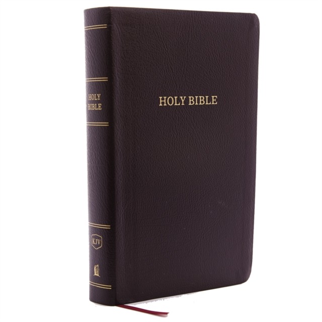 KJV Holy Bible: Personal Size Giant Print with 43,000 Cross References,