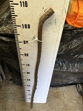 Blackthorn SHANK WALKING STICK  Rootball Thorny Knob Lot A36