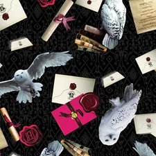 Harry Potter Owl Postal Service Black. 15216-12