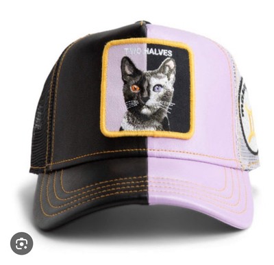 Photos of Germlin/Cat hats GALLERY: Cats (and some dogs) in Hats main image 4