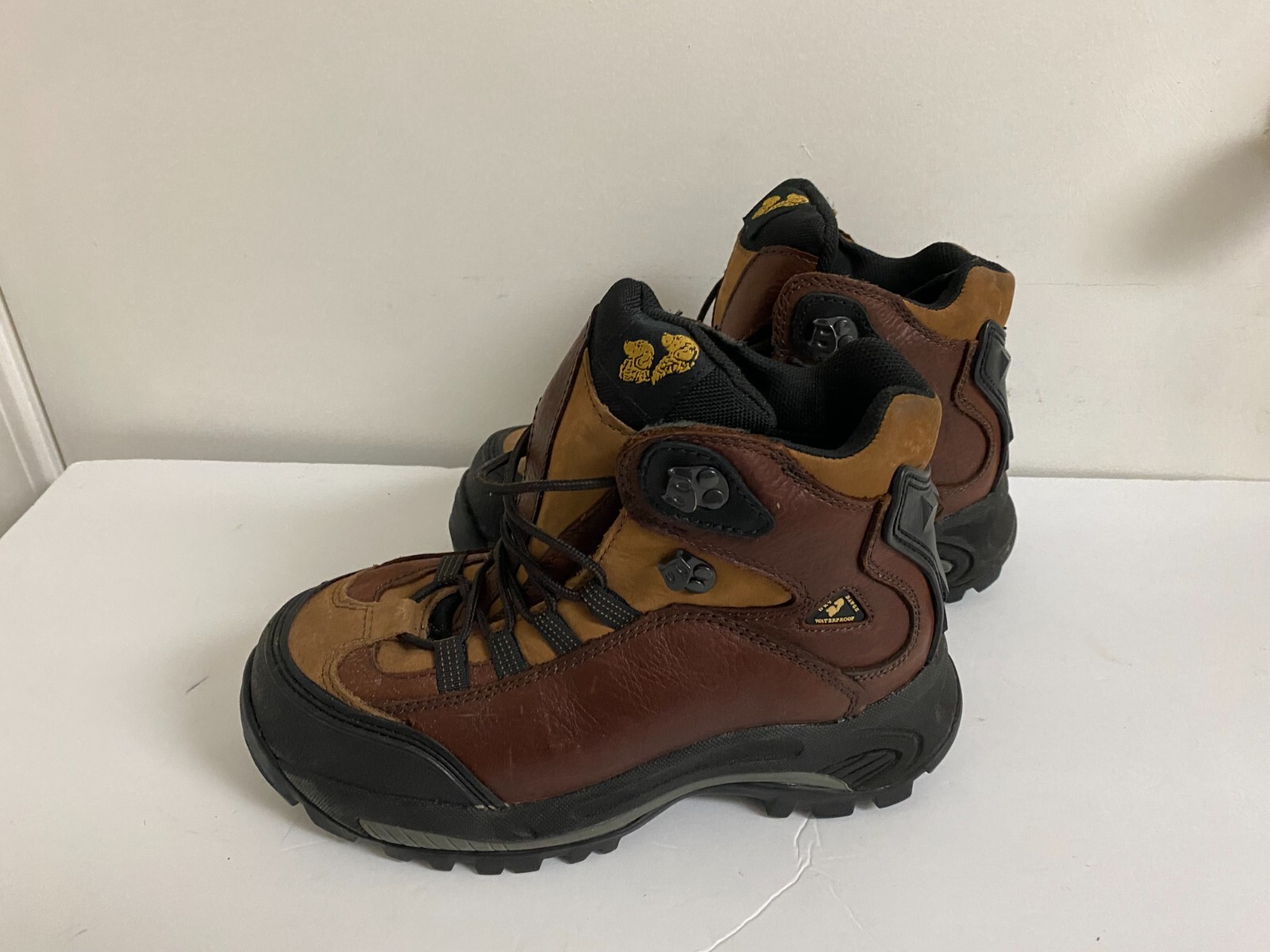 GOLDEN RETRIEVER SAFETY TOE HIKING 