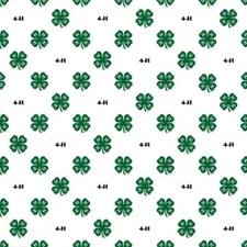 4H Mascot Mania, scrapbook paper, Scrapbook Customs 37294