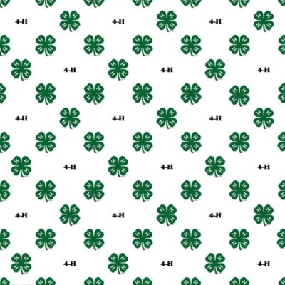 4H Mascot Mania, scrapbook paper, Scrapbook Customs 37294
