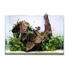 Swell Glass Aquarium 60cm – 63L Tank, Frameless Fish Tank
