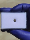 NWA 12564 Martian Meteorite 0.152g Mini Individual Rare Shergottite COA — photo 7