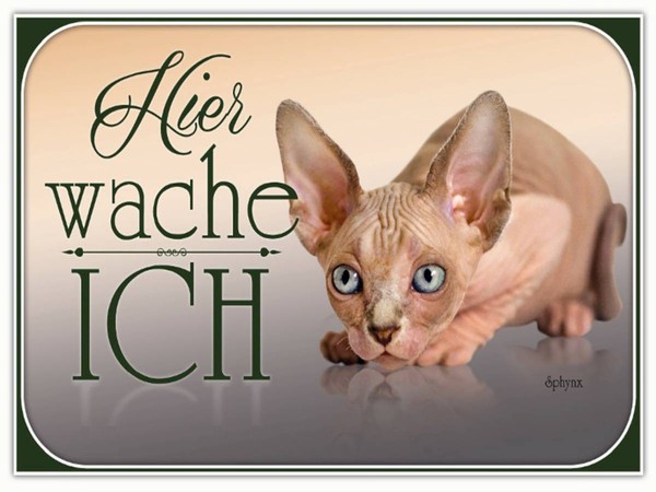 Holzschild 30X40 Cm Katze Sphynx Hier Wache Ich Deko Geschenk Holz Schild-image