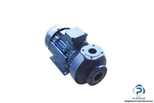LOWARA FHE 65-160/150/P CENTRIFUGAL PUMP_101390470_PLM160B34S3/3150 Motor_65 mm