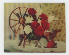 Red + White Roses with Spinning Wheel VARI-VUE Lenticular 3-D Picture 3 1/4 x 4