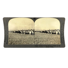 Antique WWI Photos Keystone View Co V18814 Serbian Cavalry Ready for Battle WWI