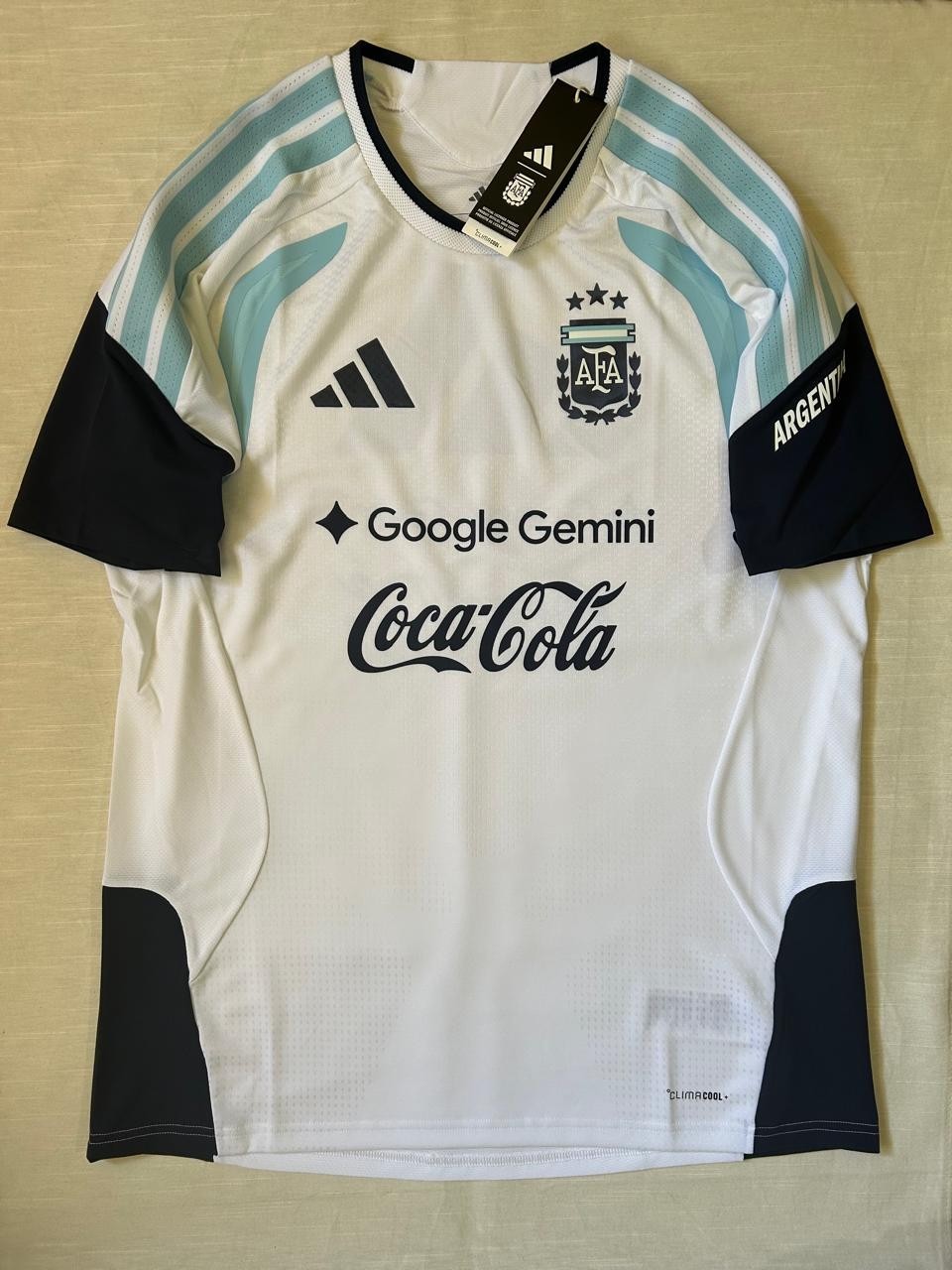 ARGENTINA 2026 TRAINING SHIRT PRO AFA White Soccer With Prints