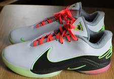 Lebron XXII Crown Jewel Nike Basketball Shoes Size 16 Sneakers FZ1094-101