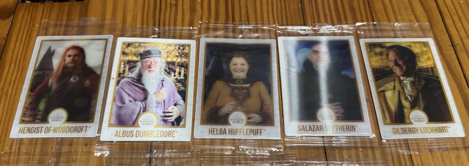 Harry Potter Chocolate Frog Wizarding World Lenticular Cards (Lot of 17) No Dupe