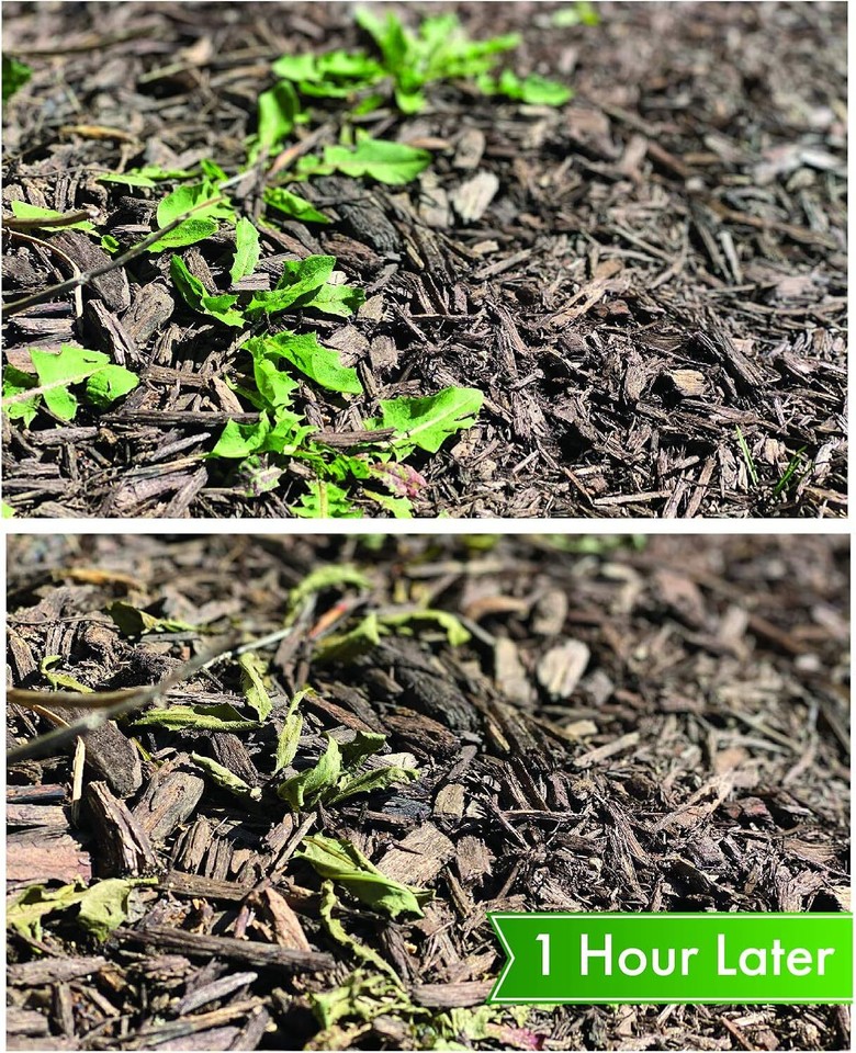 579 Vinegar Weed & Grass Killer, Approved for Organic Production, Pet