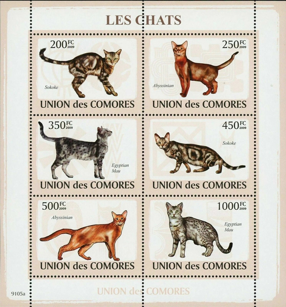 Sokoke Cat