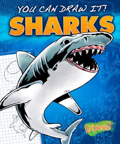 Sharks by Maggie Rosier (Hardcover, 2013) - Image 4