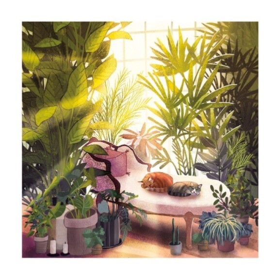 Sunny Spot - Art Blank Greeting / Birthday Card - Plants Ginger Tabby Cat Cats