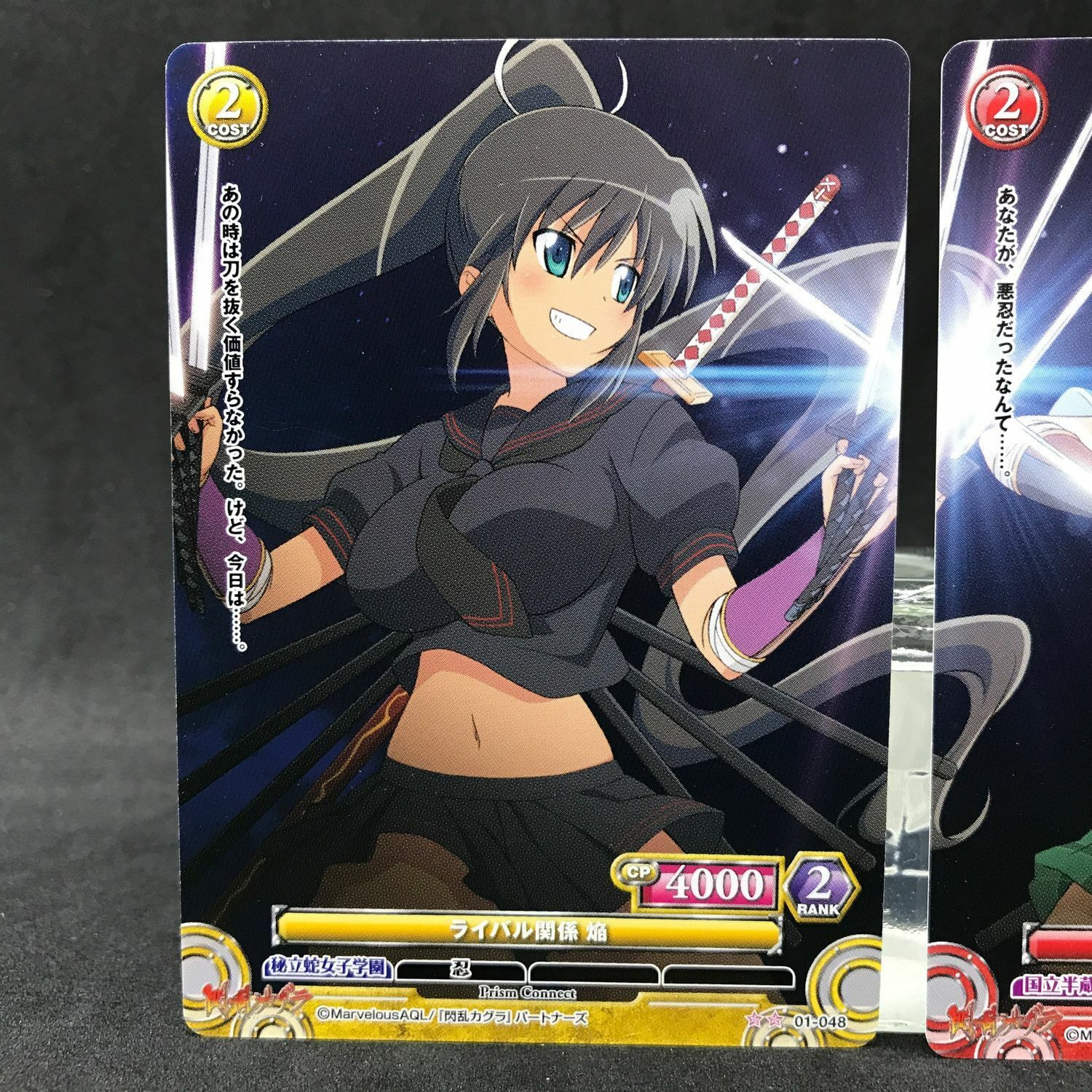 Senran Kagura Burst Re Newal 100 mm Button Badge Asuka & Homura Set – q to  Japan