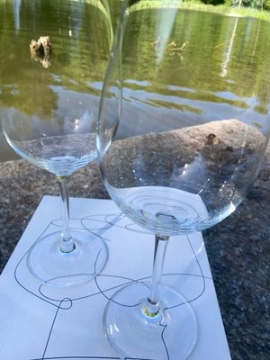2er Set Rotweingläser SCHOTT  ZWIESEL Edicion Wein&Vinos TRITAN PROTECT 22,5cm