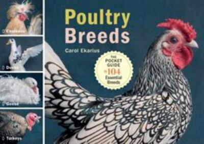 Poultry Breeds Format: Paperback