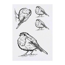 4 x 'Cute Robin Bird' Temporary Tattoos / Transfers TO00008664 