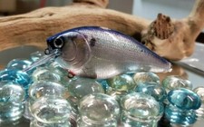 EZ's CUSTOM WRAPPED 2.5 SQUARE BILL CRANKBAITS