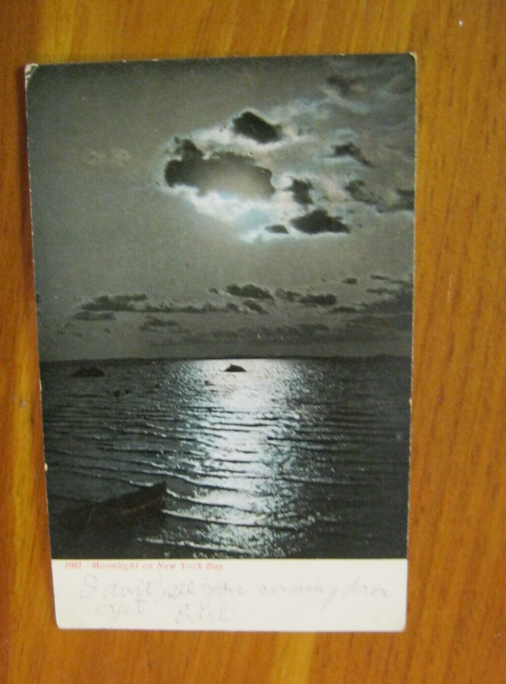 Moonlight On New York Bay NYC New York 1907 Souvenir Post Card Co 1981