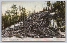 1910 Log Dump Parry Sound Ontario Canada Private Postcard