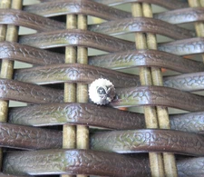 New  NAIAD Crown for Vintage Omega Speedmaster 321`861  1MM Stem Size Part