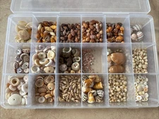 Hawaiian Shells Momi Miter Puka Cone Bubble Kahelelani & More W/ Container