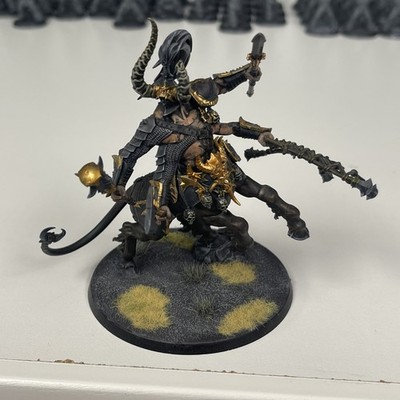 Warhammer Warcry Centaurion Marshal Age of Sigmar  Painted