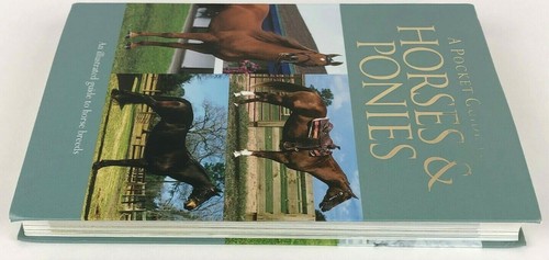 Horses and Ponies a Pocket Guide Illustrated Guide to Horse Breeds Paperback - Imagen 7 de 10