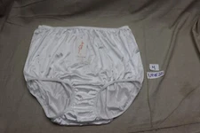 Vintage NYLON Panties Fashions By Teri Sz 10 White Pin-Up Retro Embroidered