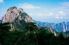 Tree on a Cliff Yellow Mountain China Nature Photo Picture Poster Print Wall Art