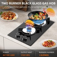 Gas Hob 2Burner 30cm Tempered Kitchen Built in Cooktop NG/LPG Special Protection