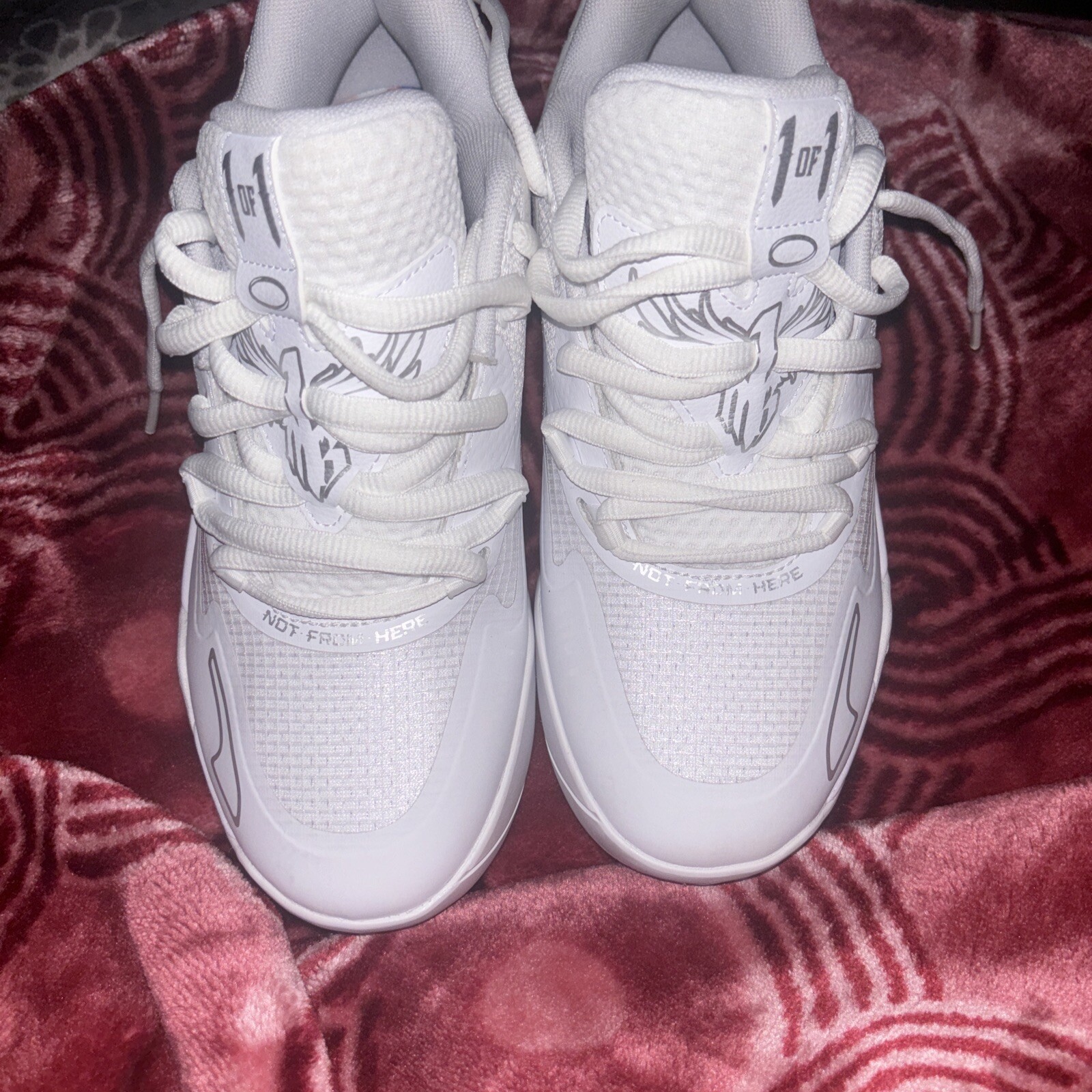 Lamelo puma - image 6