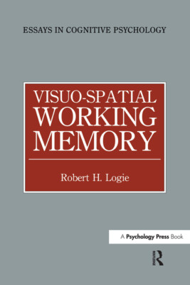 Visuo-Spatial Working Memory