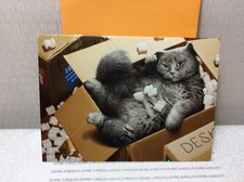 AVANTI ENCOURAGEMENT GREETING CARD New w/envelope "One Box closes, another box"