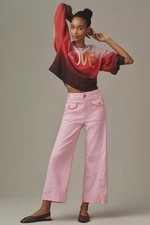 Anthropologie Maeve The Colette Crop Wide Leg Pants Pink Size 27