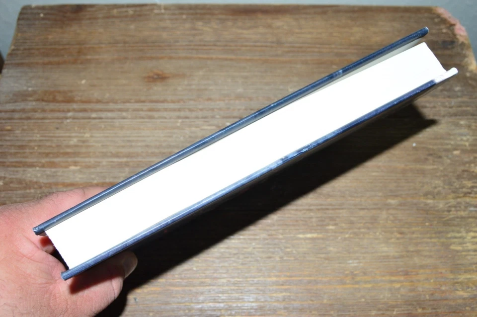 The Ingenue by Rachel Kapelke-Dale Hardback Book Suspense Thriller - Image 4 of 4