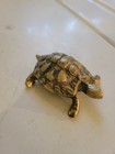 Vintage brass turtle. Brass paperweight. Brass tortoise