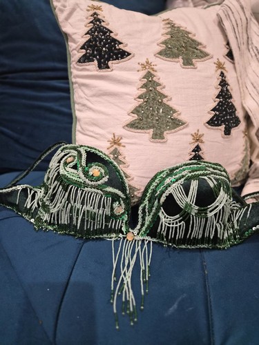 professional belly dance costume used