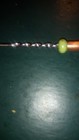 The One Hand "Wit Whip"  — photo 4